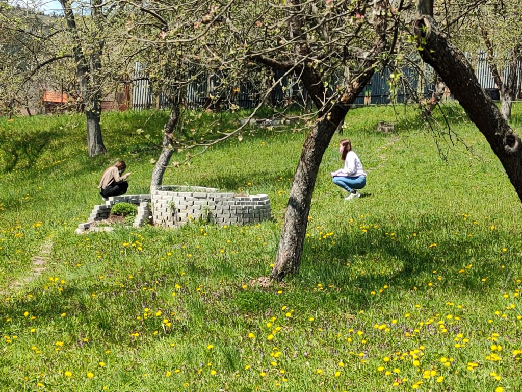 Metodika: ANJ 6. – 7. ročník ZŠ Svet okolo nás